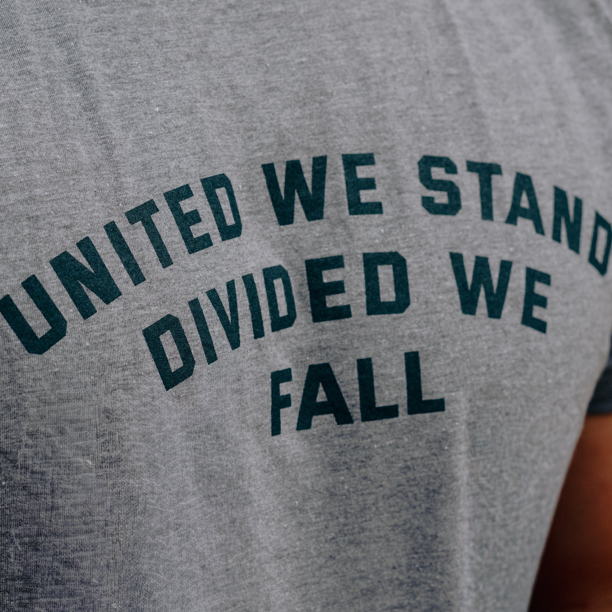 United We Stand Divided We Fall - Patriotic T-Shirt