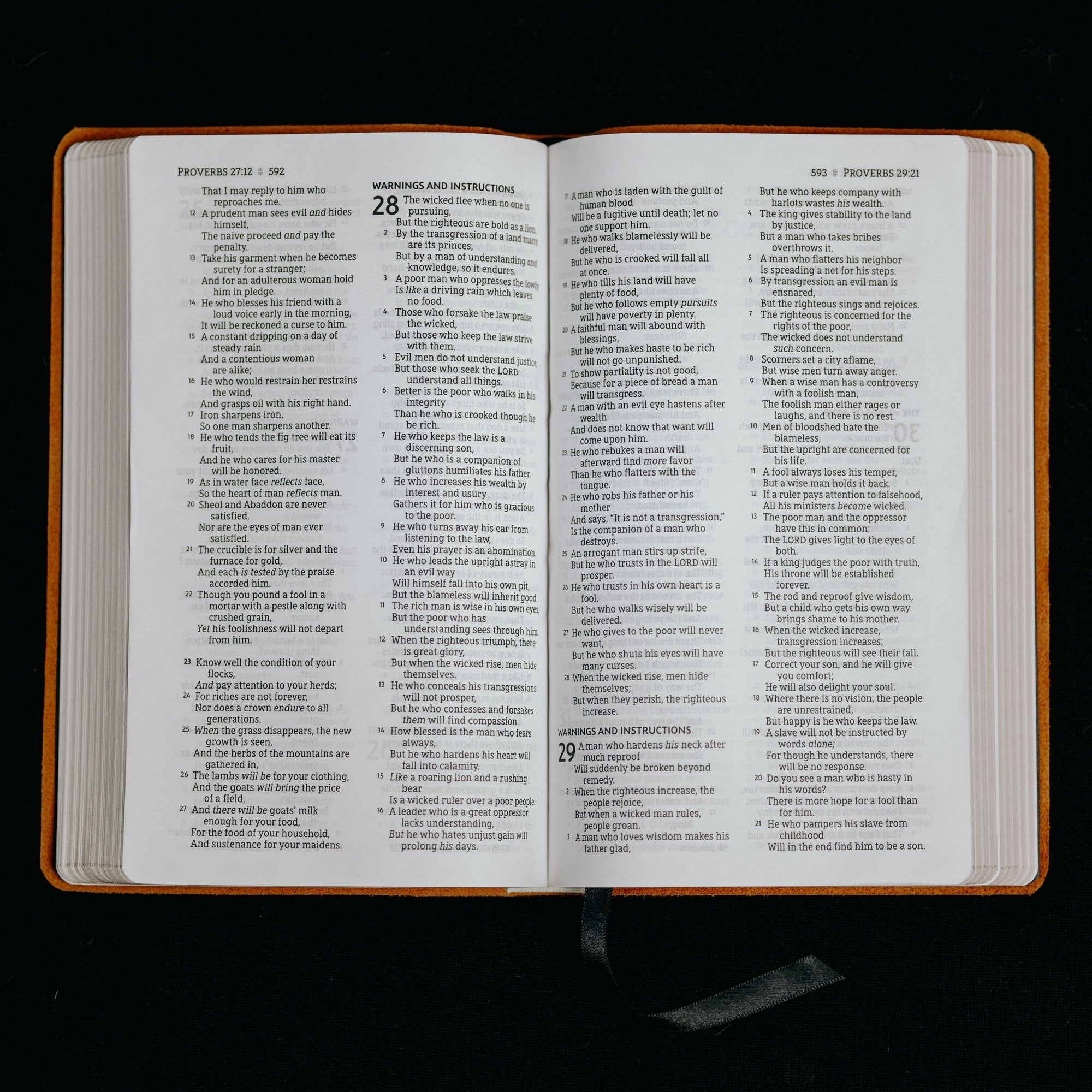 DBG Bible/Journal Set Old Soul Tobacco DBG Bible/Journal Set Old Soul Tobacco - ESV - Dangerous But Good