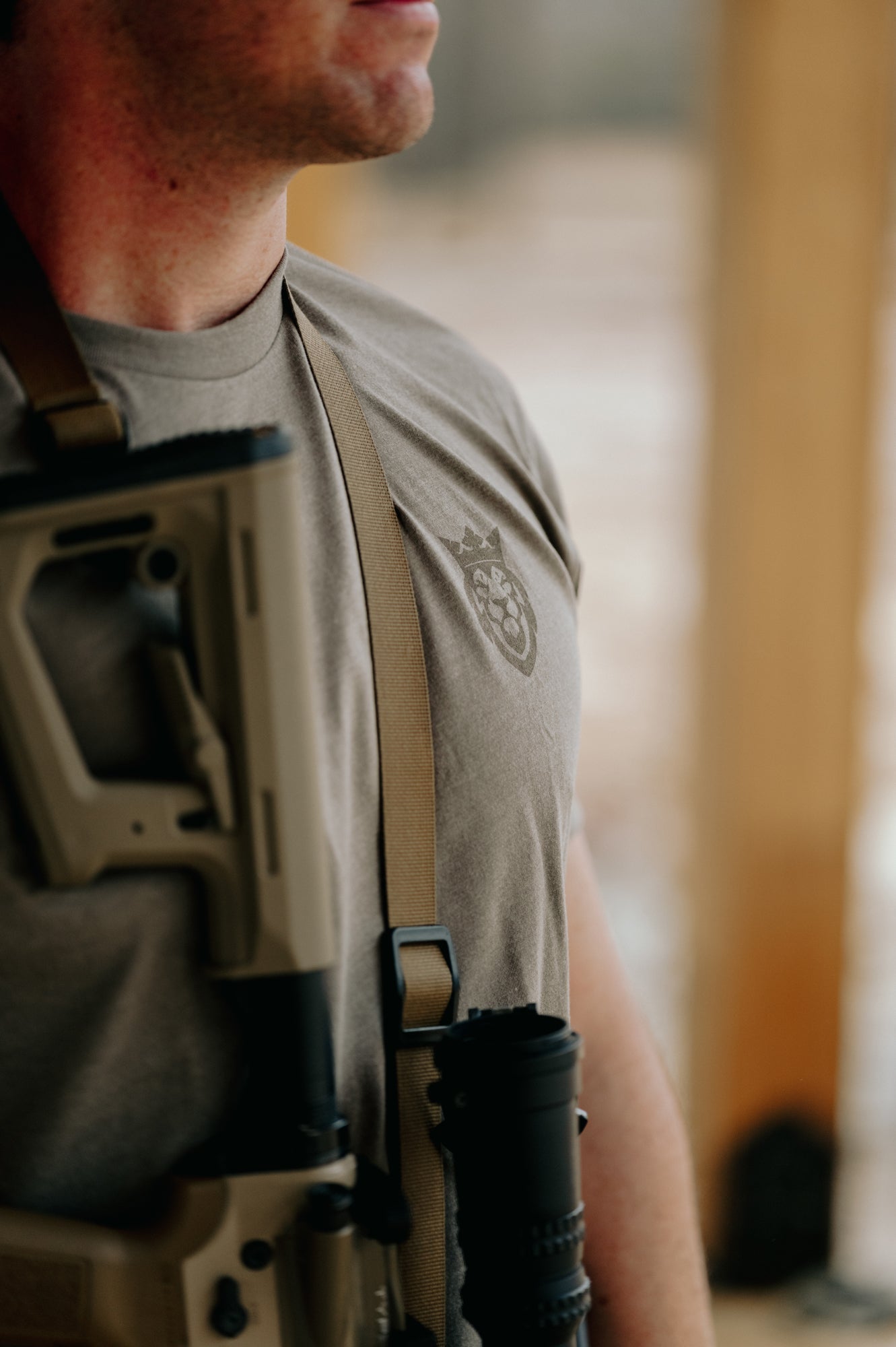 The Lion Series T-shirt The Lion Series T-shirt - Gray / S - Dangerous But Good