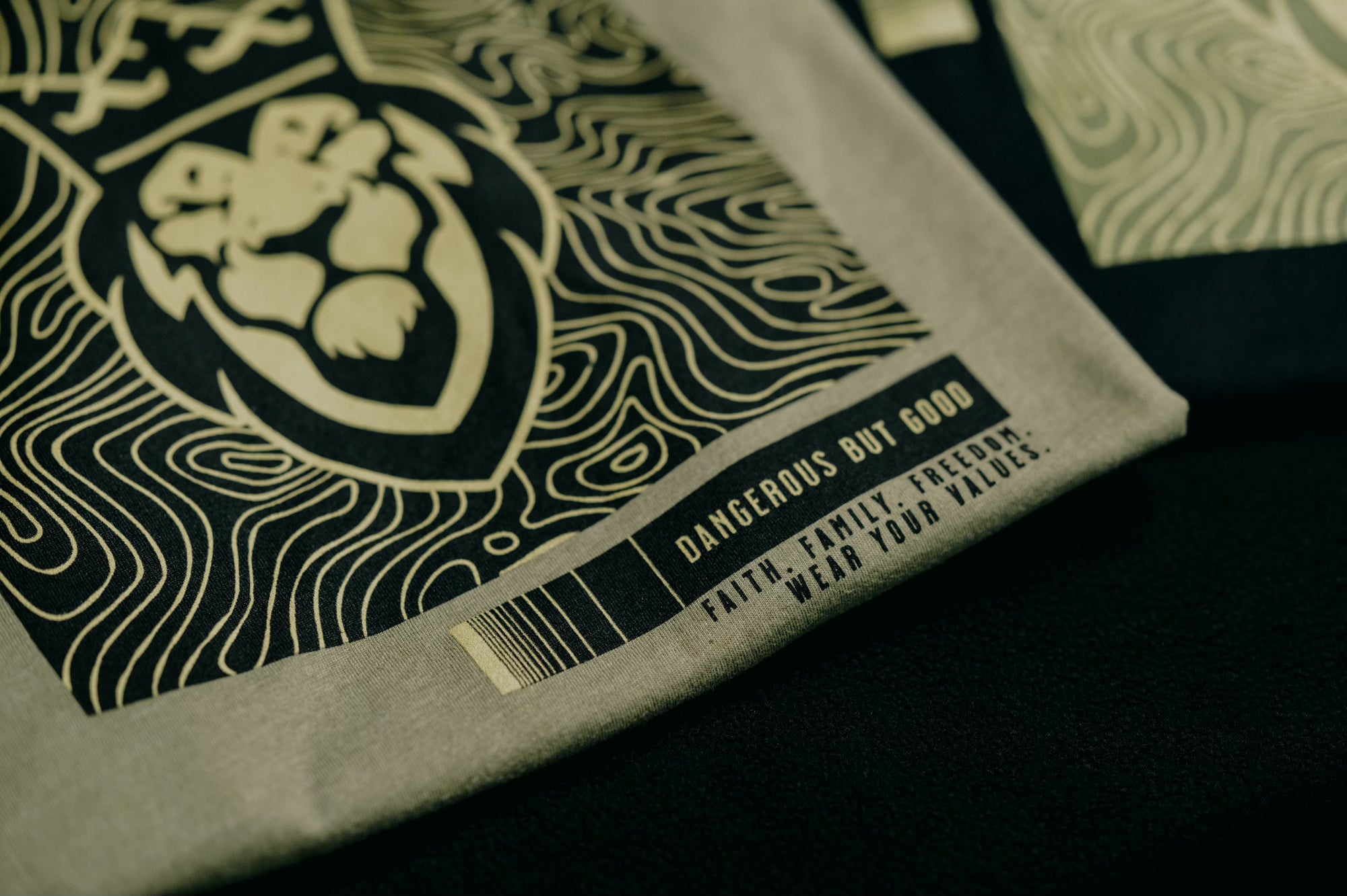 Elevate T-Shirt Elevate T-Shirt - Olive / Small - Dangerous But Good