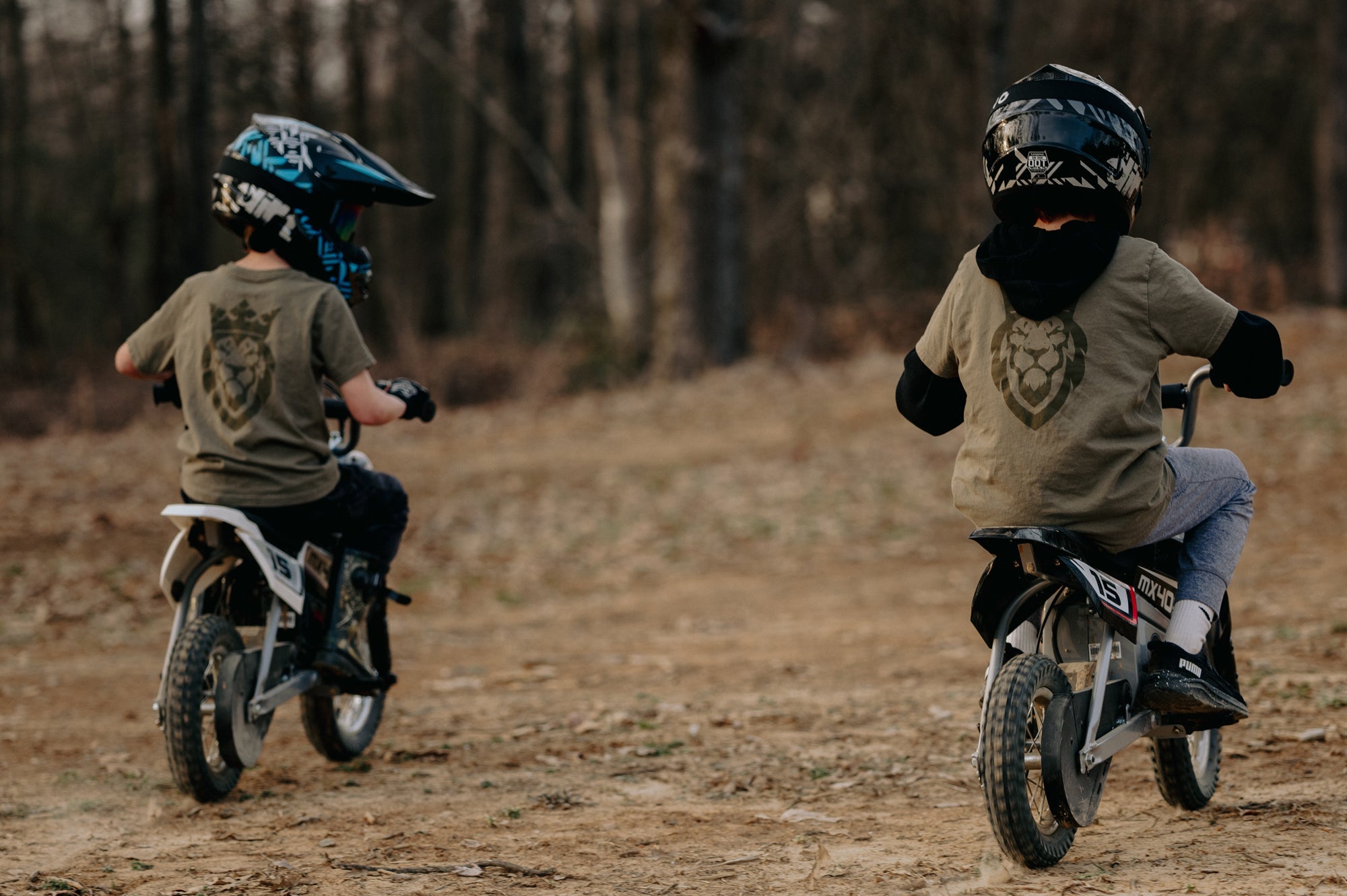 Fearless and Free Lion Series Youth T-Shirt Fearless and Free Lion Series Youth T-Shirt - Youth XSmall / Short - Dangerous But Good