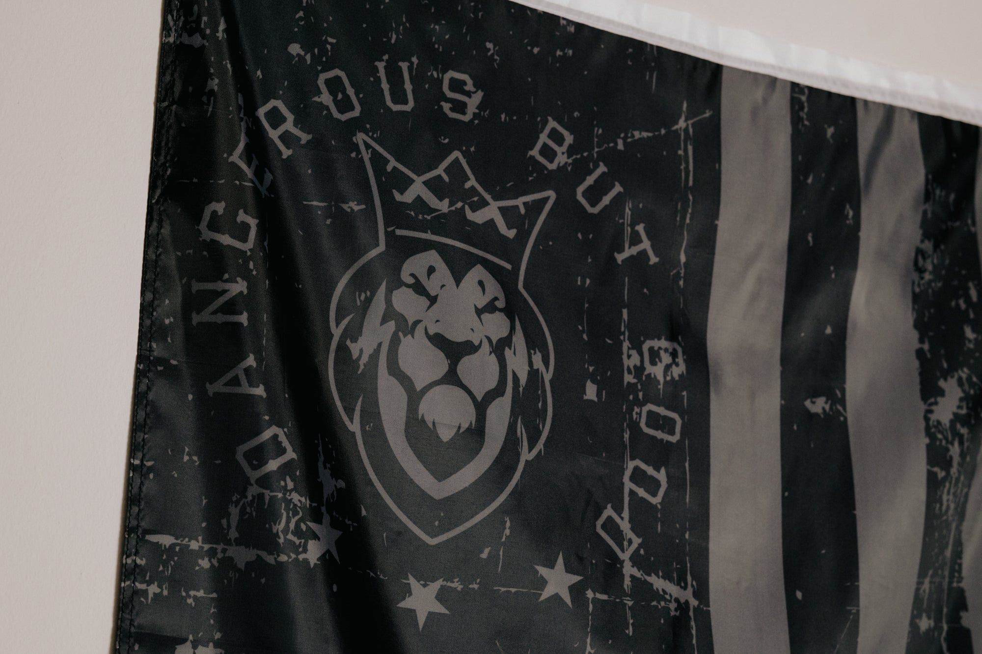 DBG Patriot Indoor Flag DBG Patriot Indoor Flag - Default Title - Dangerous But Good