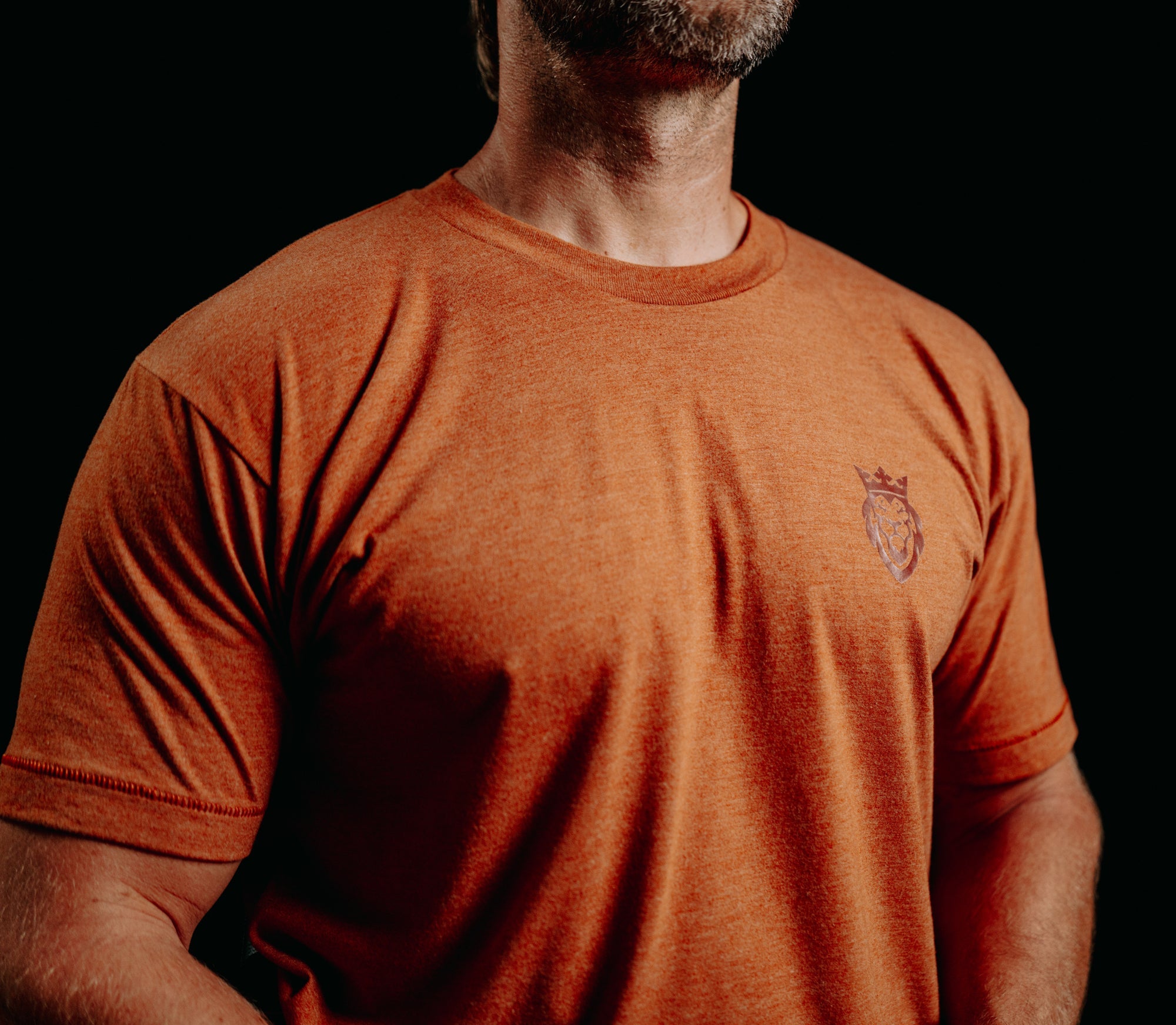 DBG Lion T-Shirt DBG Lion T-Shirt - Tri Olive / S - Dangerous But Good