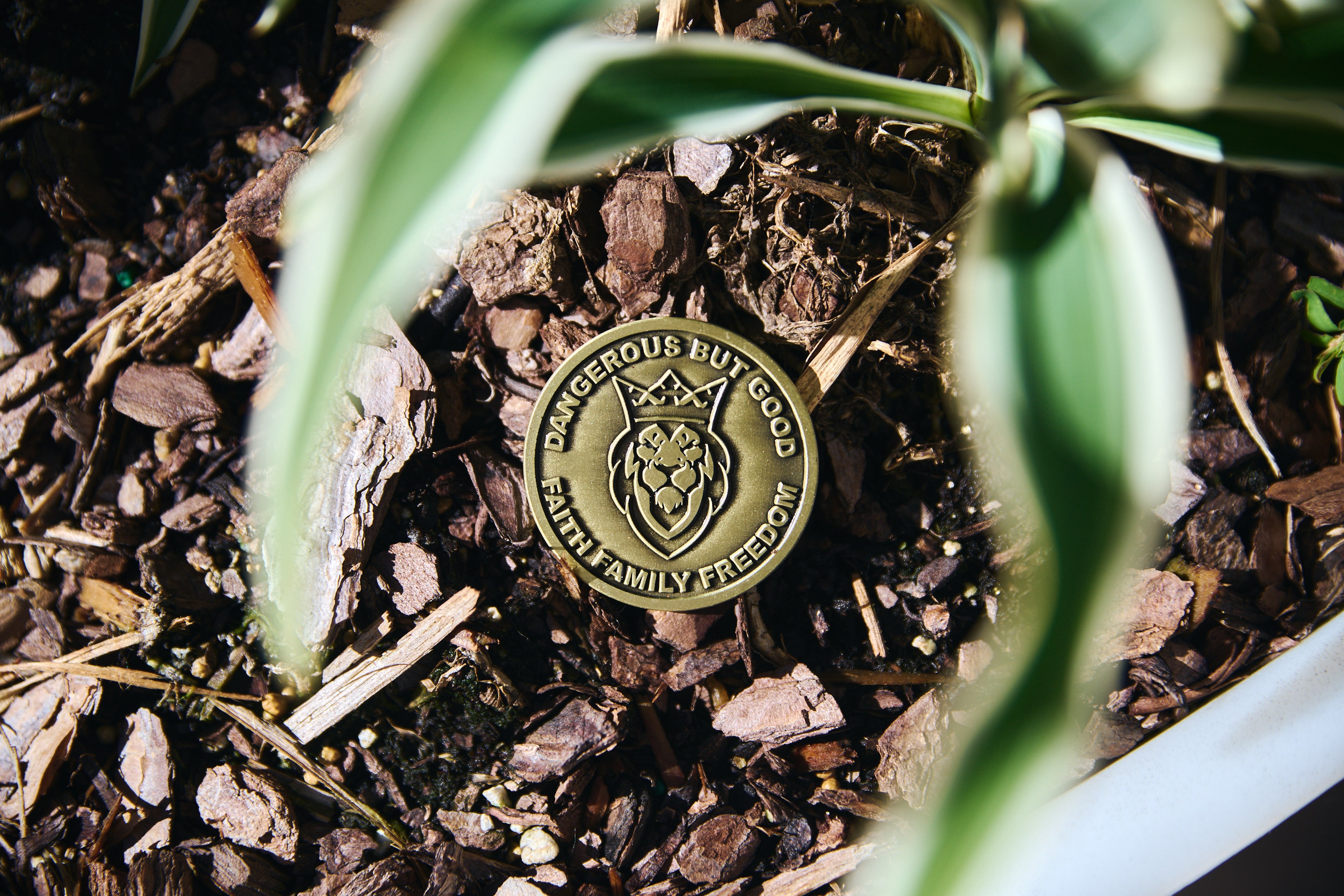 Faith Anchors Freedom Challenge Coin