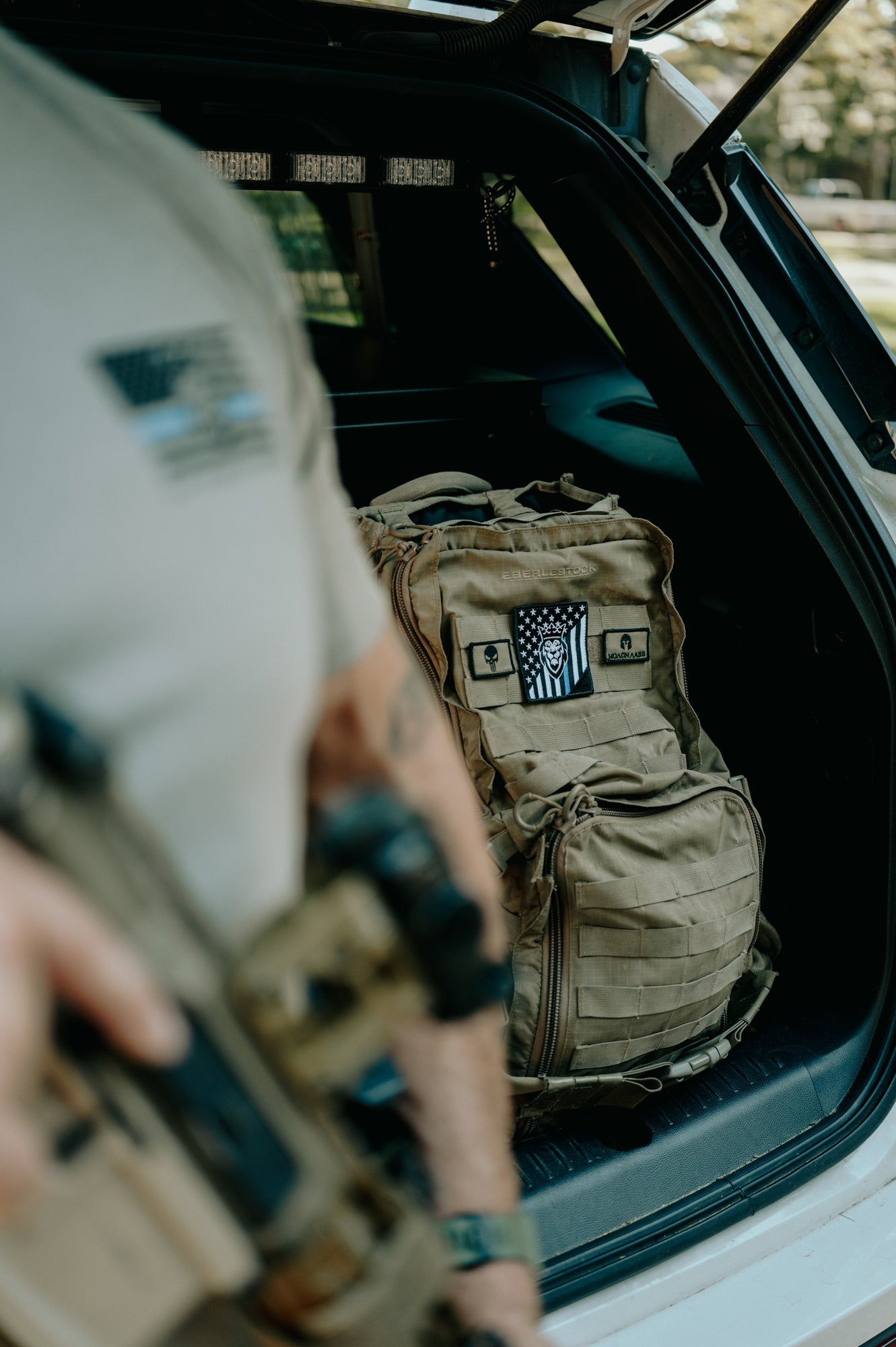 DBG TBL Lion Collectors Edition Patch DBG TBL Lion Collectors Edition Patch - Default Title - Dangerous But Good