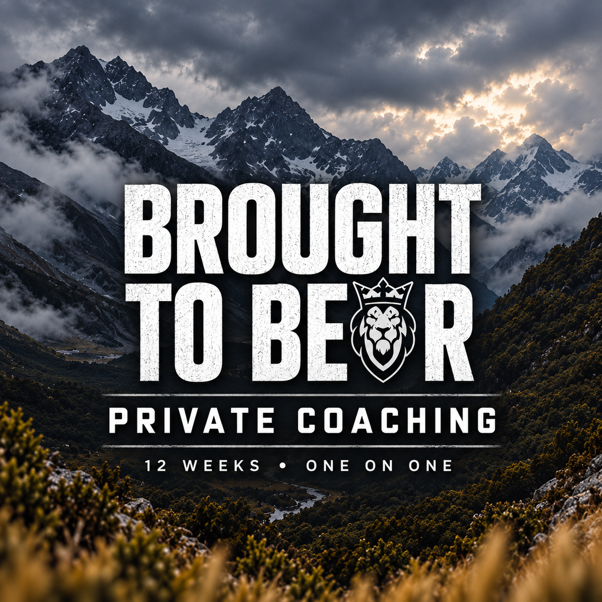 Brought to Bear | 12-Week Private Coaching with Noel Fenderson